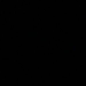 Meet your Posher, Tyra